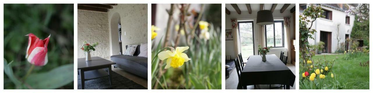 La Croix Des Granges Villa Montlouis-sur-Loire Luaran gambar